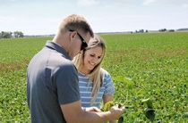 Kasey Bamberger and a man inspecting a plant in a field. Kasey Bamberger and a man inspecting a plant in a field.