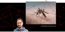 Portrait of Joaquín Cochero with an image of a mosquito beside him. The image caption reads: Biologist Joaqín Cochero takes action against dangerous mosquitoes with an early-detection app and a crowd of Argentine citizen scientists.