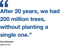 Quote by Tony Rinaudo, an Agronomist: "After 20 years, we had 200 million trees, without planting a single one.” Quote by Tony Rinaudo, an Agronomist: "After 20 years, we had 200 million trees, without planting a single one.”