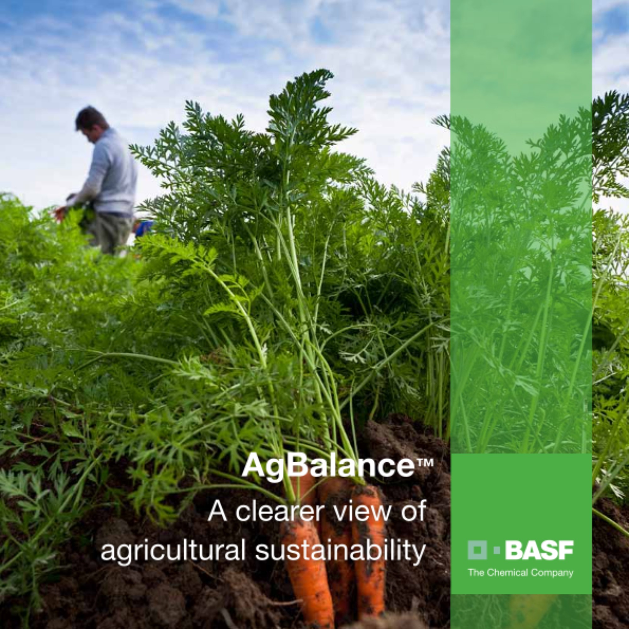 A clearer view of agricultural sustainability